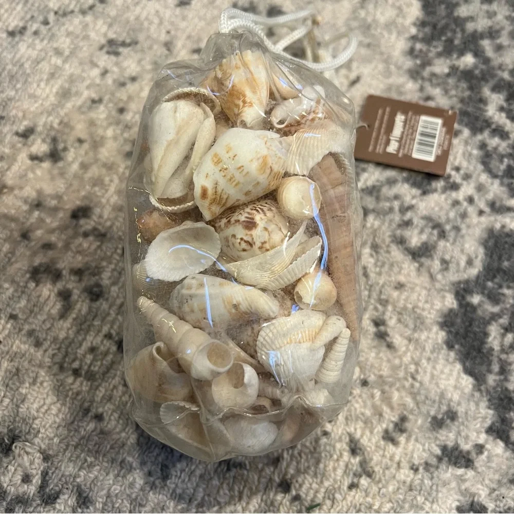 NWT PIER 1 Imports natural shell mix